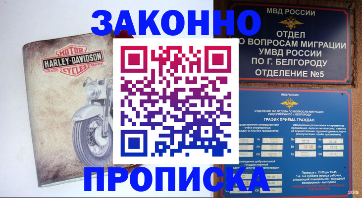 прописка для школы в Саках